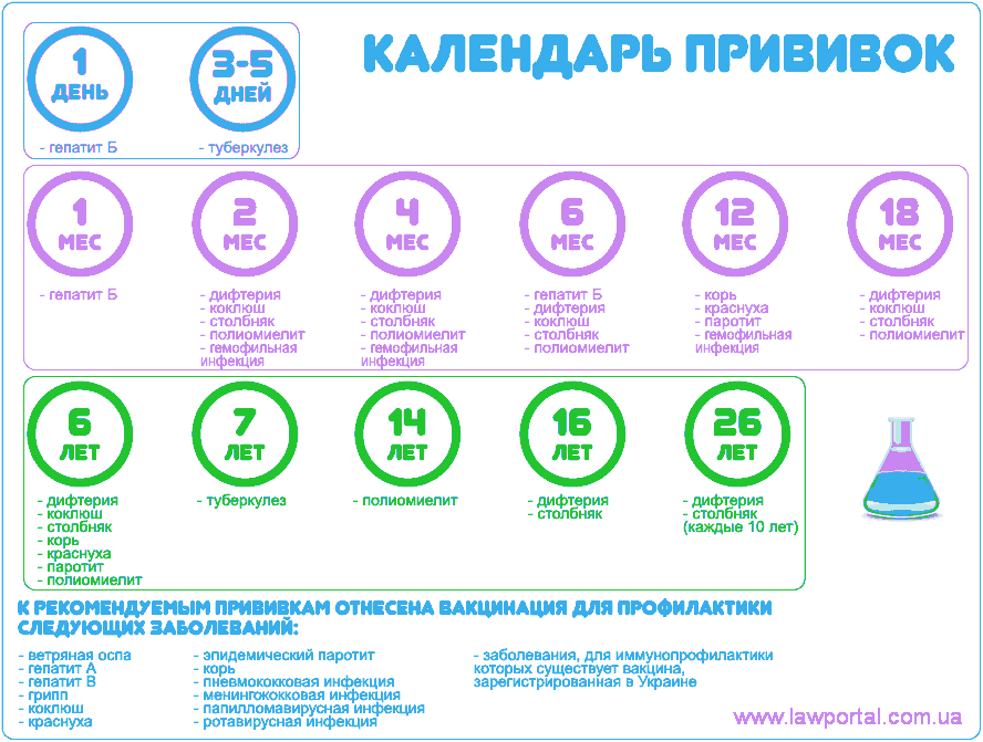 Календарь прививок